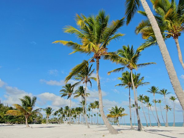 Top 5 voiliers à considérer pour votre prochaine aventure maritime