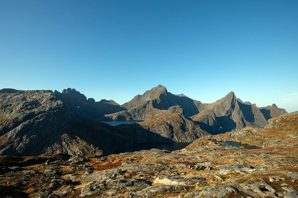 Comment organiser une expédition pour observer les éléphants en Tanzanie?